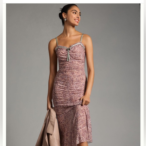 NWT By Anthropologie Sheer Mesh Dress - Size XXS- Pink Combo - Picture 5 of 10